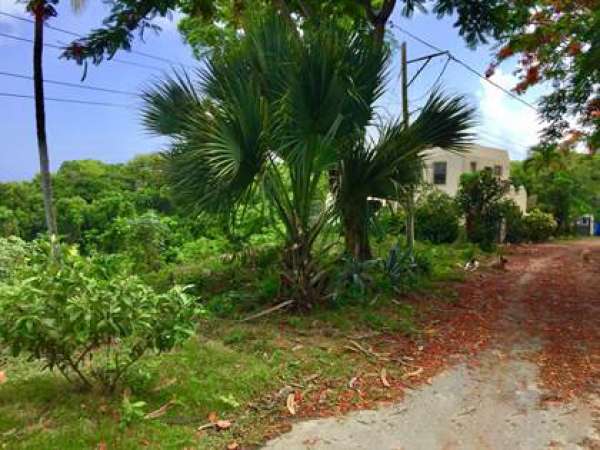 Lot With Beautiful Ocean Views