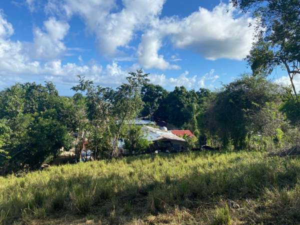 Large Lot In Peaceful Location In Sosua