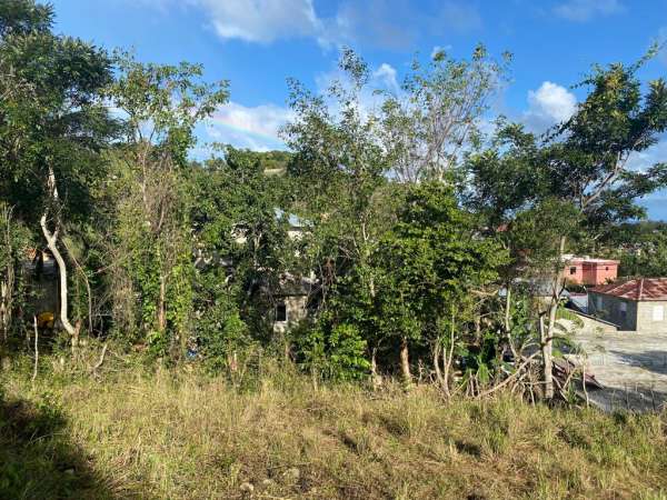 Large Lot In Peaceful Location In Sosua