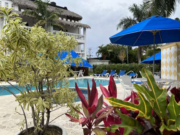 Nice Studio Condo In Central Sosua