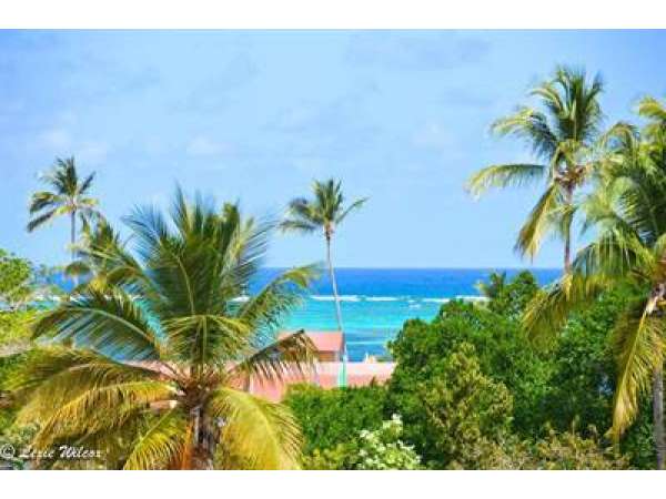 2 Bedroom Buganvillas Condo-  Ocean View