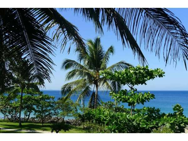 Spectacular Beach Front Condo