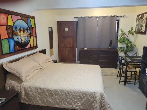 Renovated Studio Apartment Condo In Quiet Sosua