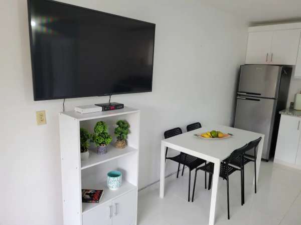 Newly Remodeled Fully Furnished 1 Bedroom Condo In