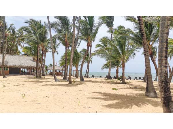 Large 2 Bedroom Beach Front Rental In Uvero Alto -