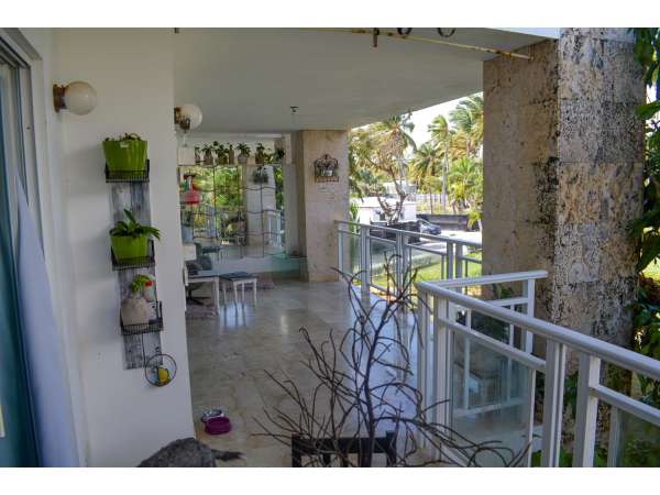 Large 2 Bedroom Beach Front Rental In Uvero Alto -
