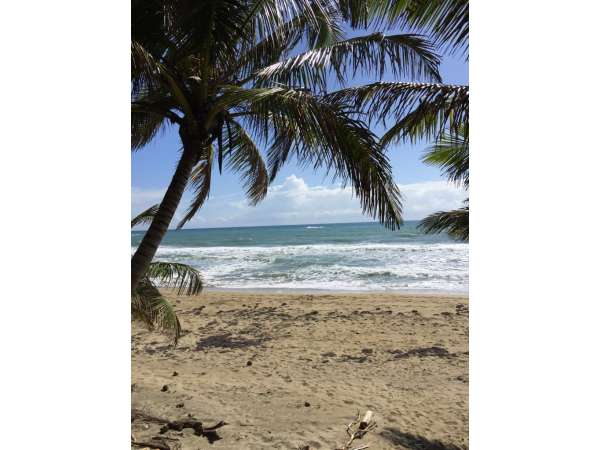 Fabulous Ocean Front Villa In Great Cabarete