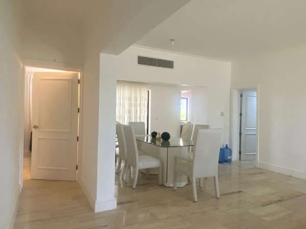 Large Newly Renovated 2 Bedroom Condos