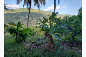 Dominican Real Estate Listing Photo