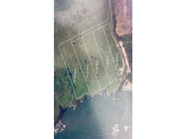 *amazing Oceanfront Property For Sale*