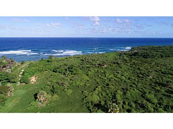 *amazing Oceanfront Property For Sale*