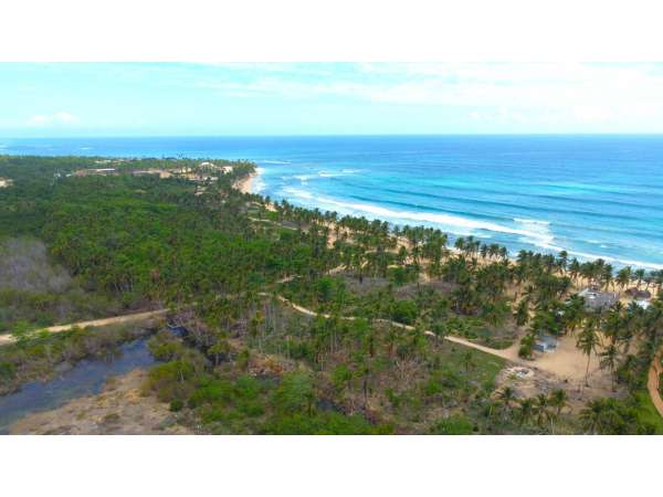 Beach Land For Hotel Development In Uvero Alto