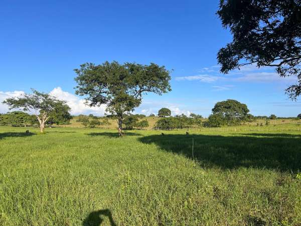 Land For Sale At Miches Dominican Republic