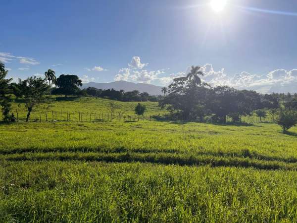 Land For Sale At Miches Dominican Republic