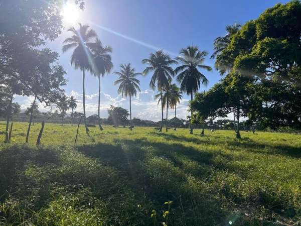 Land For Sale At Miches Dominican Republic