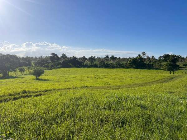 Land For Sale At Miches Dominican Republic
