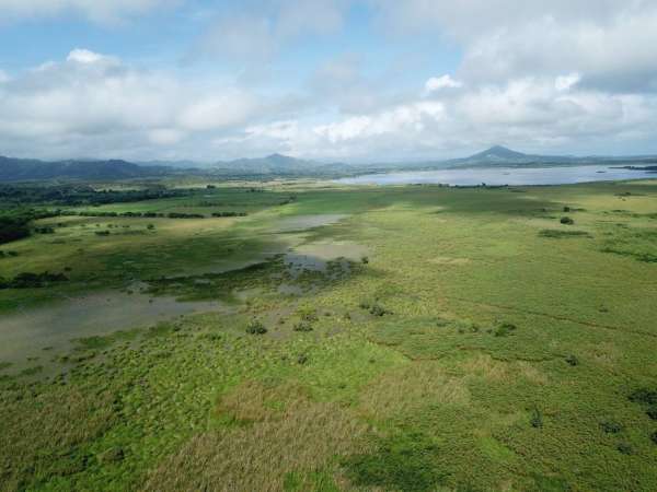 Land For Sale At Miches Dominican Republic