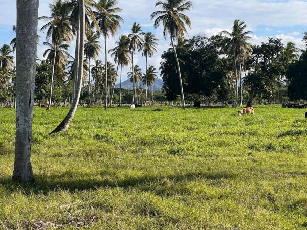 Land For Sale At Miches Dominican Republic