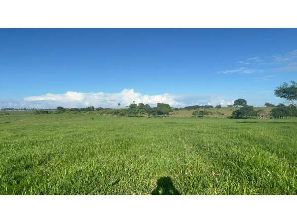 Land For Sale At Miches Dominican Republic