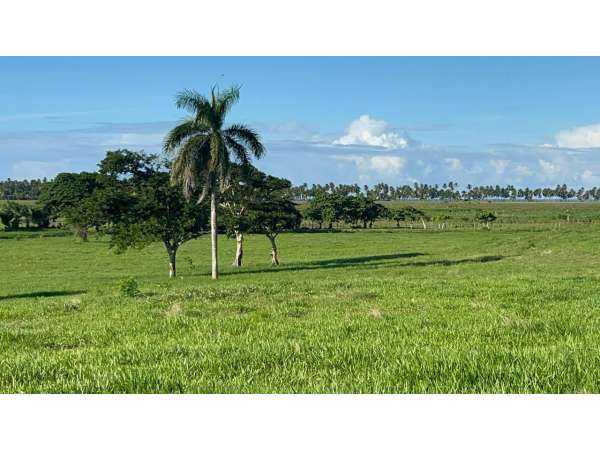 Land For Sale At Miches Dominican Republic