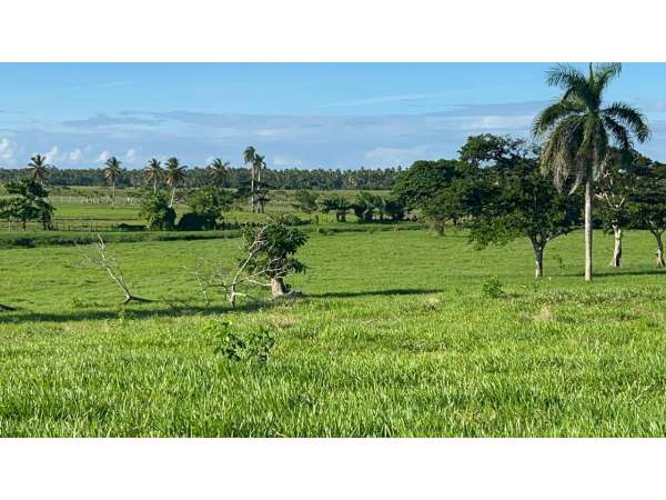 Land For Sale At Miches Dominican Republic