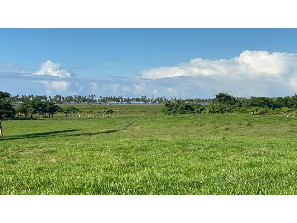 Land For Sale At Miches Dominican Republic