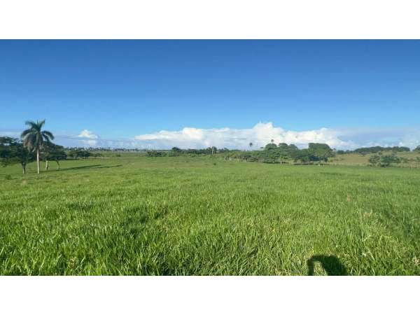 Land For Sale At Miches Dominican Republic