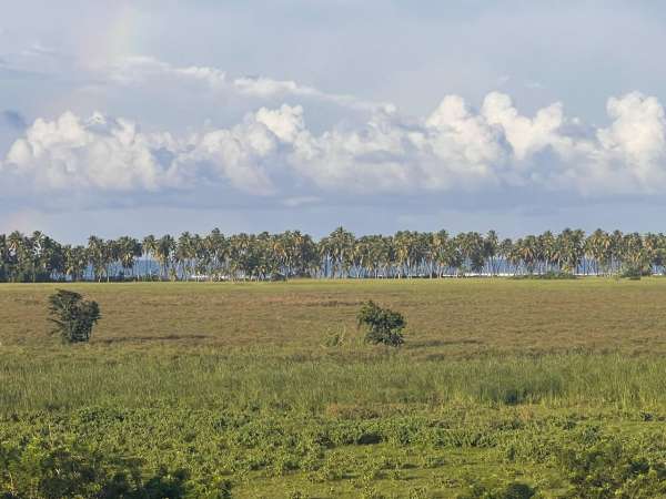 Land For Sale At Miches Dominican Republic