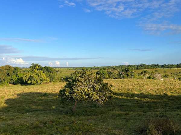 Land For Sale At Miches Dominican Republic