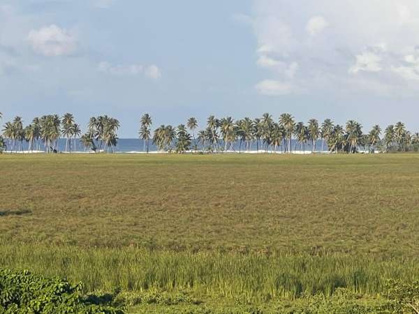 Land For Sale At Miches Dominican Republic