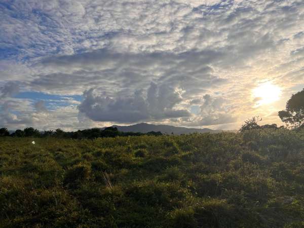 Land For Sale At Miches Dominican Republic