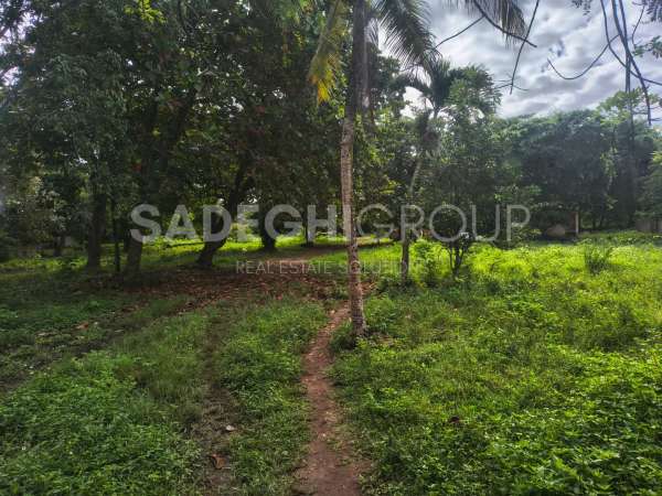 Exceptional Development Opportunity In The Heart