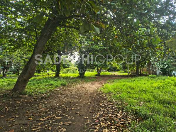 Exceptional Development Opportunity In The Heart