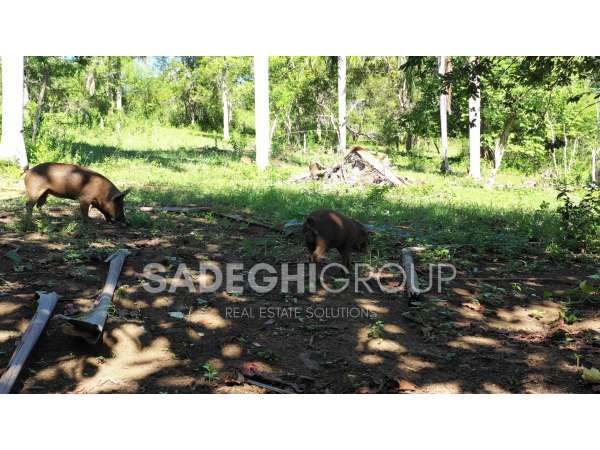 Breathtaking Land For Sale In El Choco Sosua