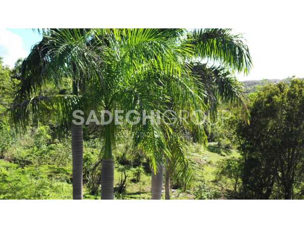 Breathtaking Land For Sale In El Choco Sosua