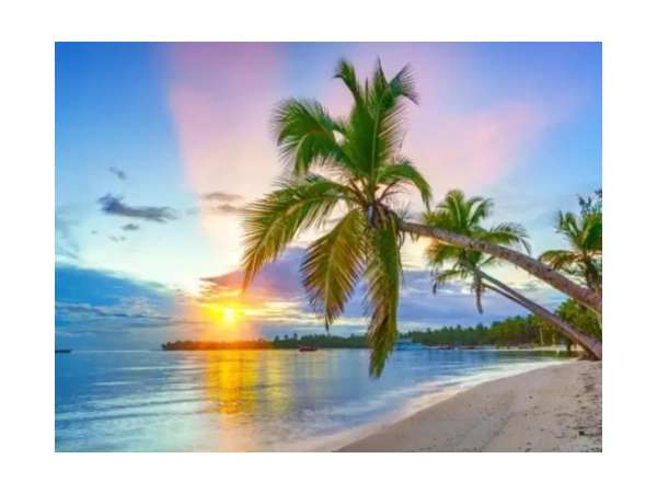 Id-3041 Two Bedroom Villa For Sale In Bavaro Punta