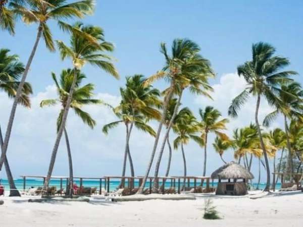 Id-3030 One-bedroom Penthouse For Sale At Cana