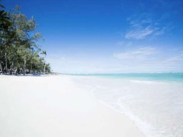 Id-3056 Tropicale: Two-bedroom Apartment For Sale