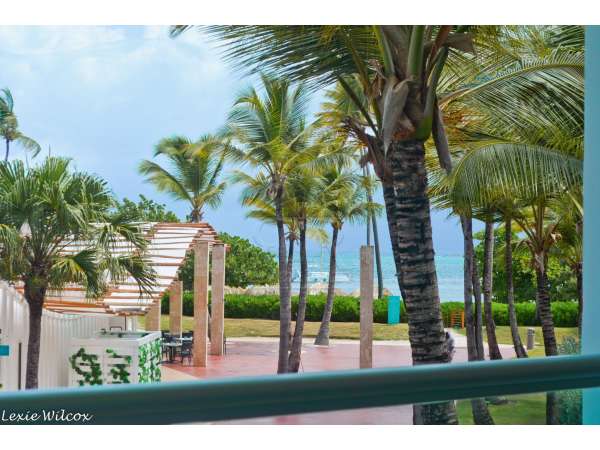 Gorgeous Ocean View 3 Bedroom Condo