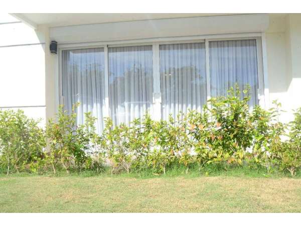 Furnished 2-br Apartment For Rent In Ciudad Las