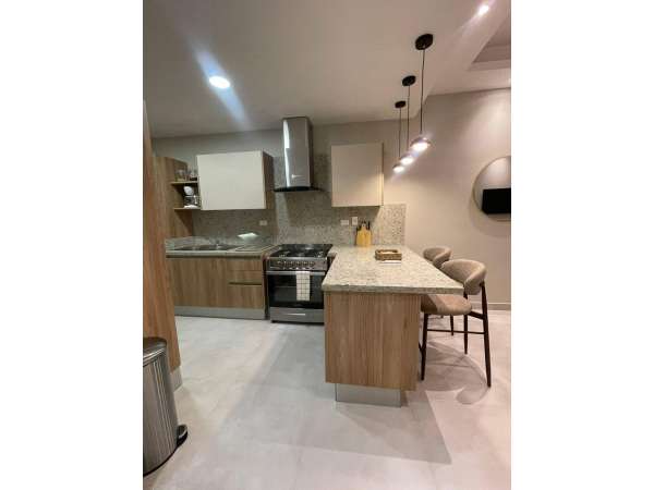 1-br Apartment For Rent In Evaristo Morales -