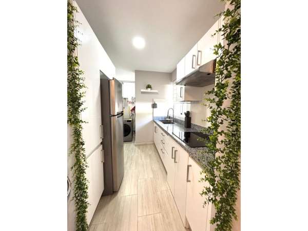 Your Tropical Retreat Awaits In El Cortecito Punta