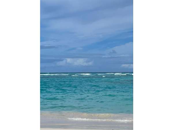 Your Tropical Retreat Awaits In El Cortecito Punta