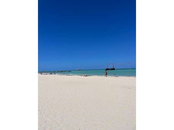 Your Tropical Retreat Awaits In El Cortecito Punta