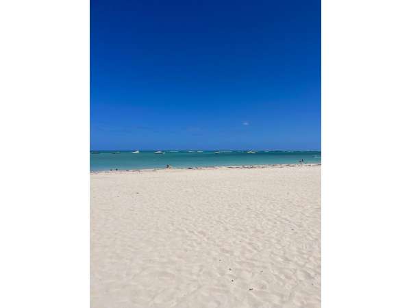 Your Tropical Retreat Awaits In El Cortecito Punta