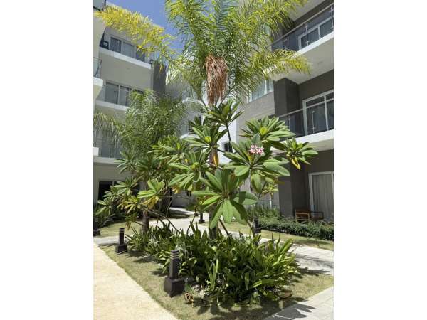 Brand New 2 Bedroom Condo In Cana Bay