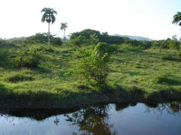 This Property Is 900 Tareas Of Land With Easy