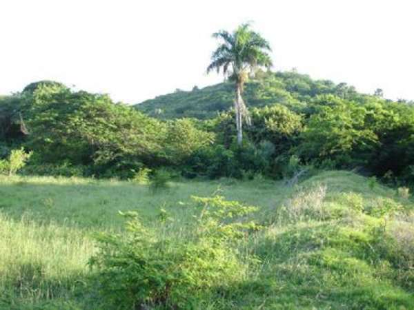 This Property Is 900 Tareas Of Land With Easy