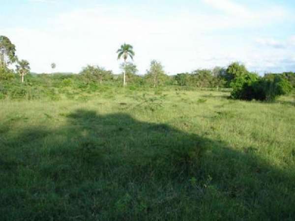 This Property Is 900 Tareas Of Land With Easy