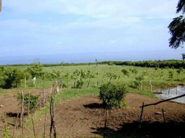 This Ocean Front Property With Pond Is 200 Tareas